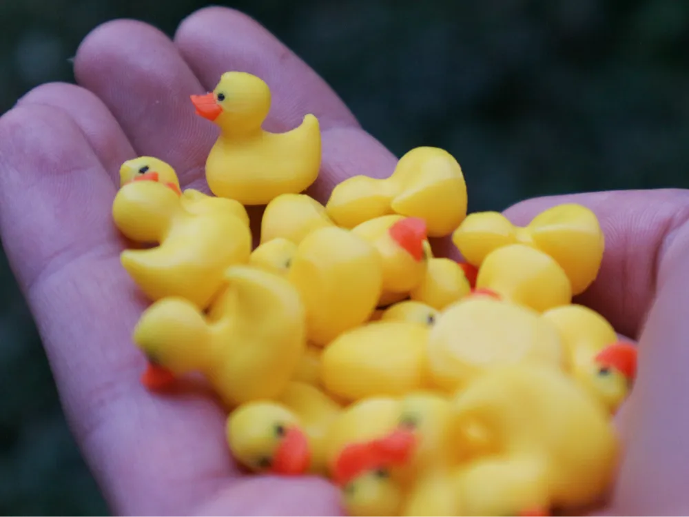 Mini Duck