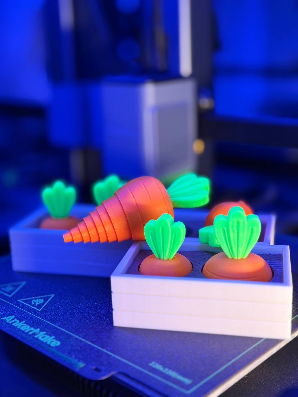 Carrot Garden