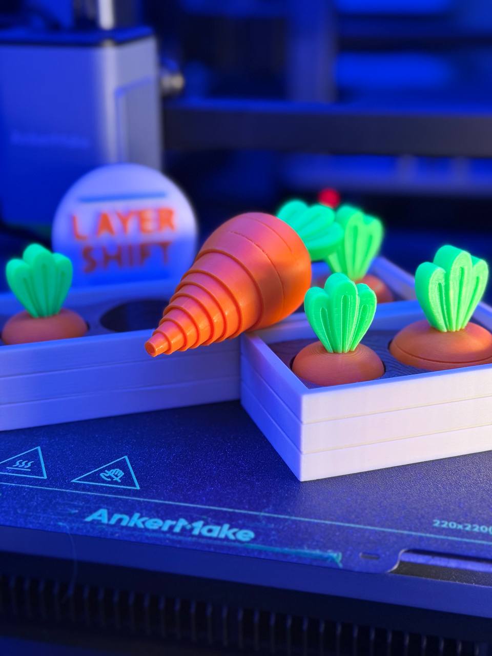 Carrot Garden
